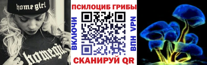 Купить закладки Волжск Псилоцибиновые грибы мицелий